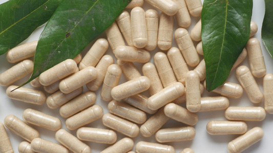 Meeting New Market Demands with Vegetarian Capsules – A Sustainable Solution